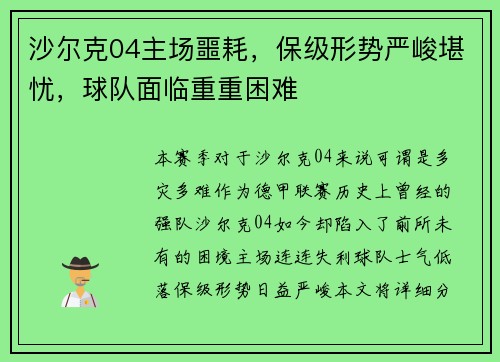 沙尔克04主场噩耗，保级形势严峻堪忧，球队面临重重困难