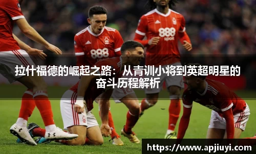 星空·综合体育中国官网