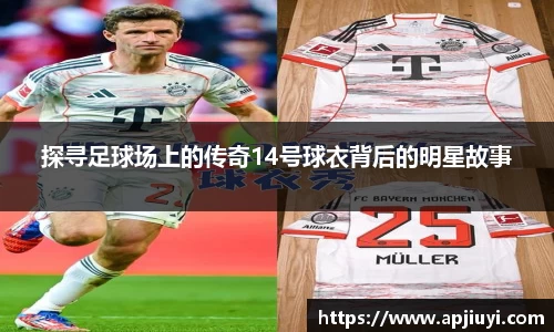 星空·综合体育官网