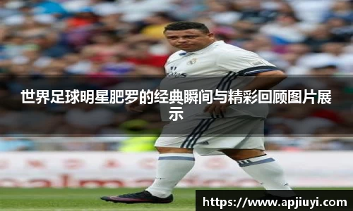 星空·综合体育官方网站