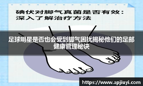 星空·综合体育官方网站